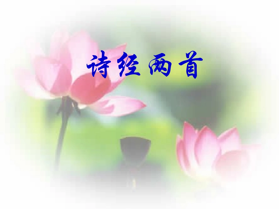 24《诗经两首》_第1页