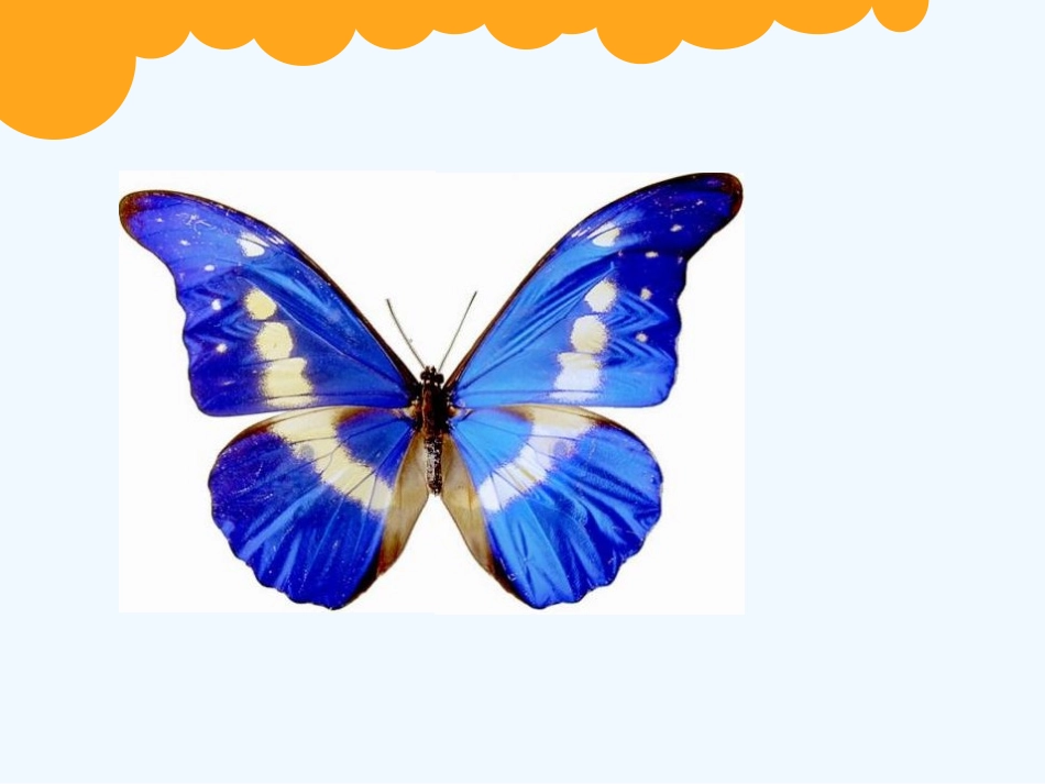 小学数学北师大2011课标版三年级图形的运动_第2页