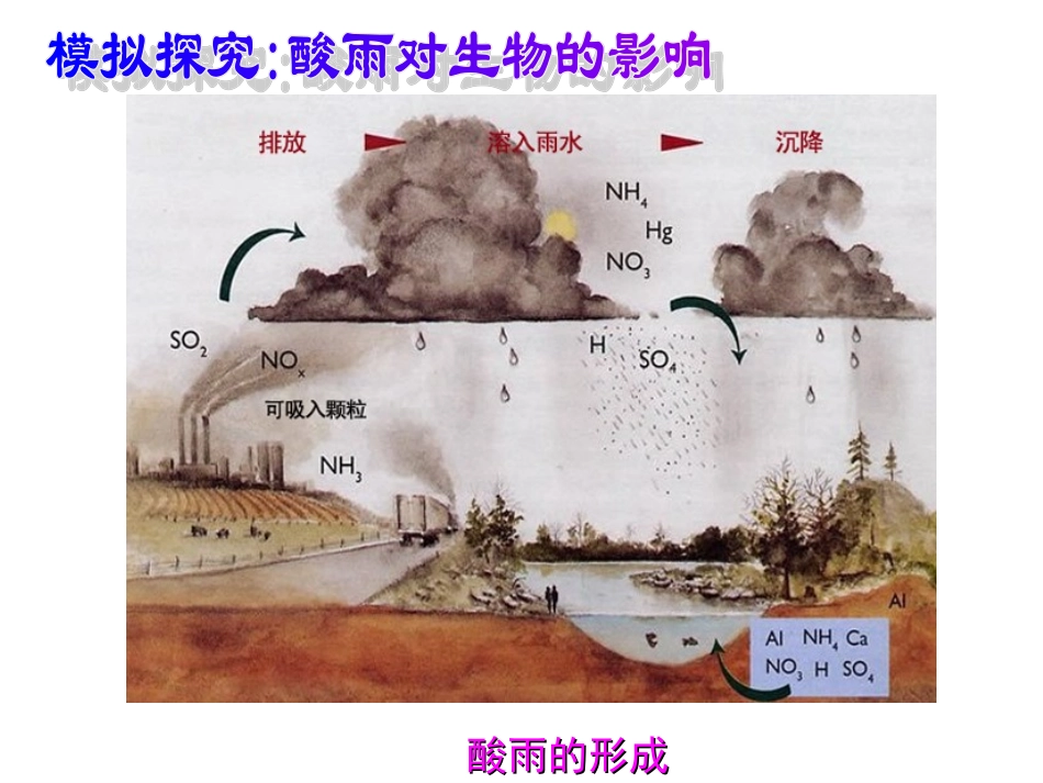 七年级生物第二节-探究环境污染对生物的影响课件人教版_第3页