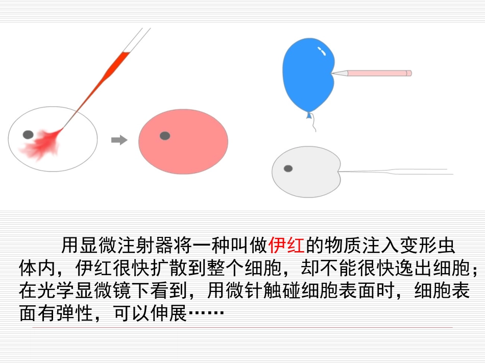 科学家访谈-生物与环境是统一的整体-(3)_第2页