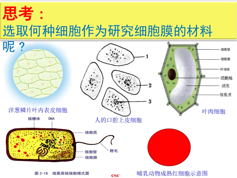 科学家访谈-生物与环境是统一的整体-(3)_第3页