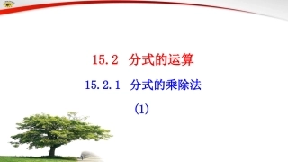 15.2-分式的运算---15.2.1-分式的乘除法(1)-.2.1分式的乘除-(1)