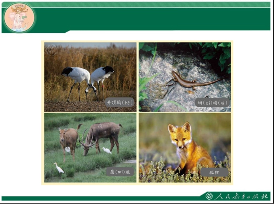 小学数学人教2011课标版三年级三位数加三位数-(20)_第2页