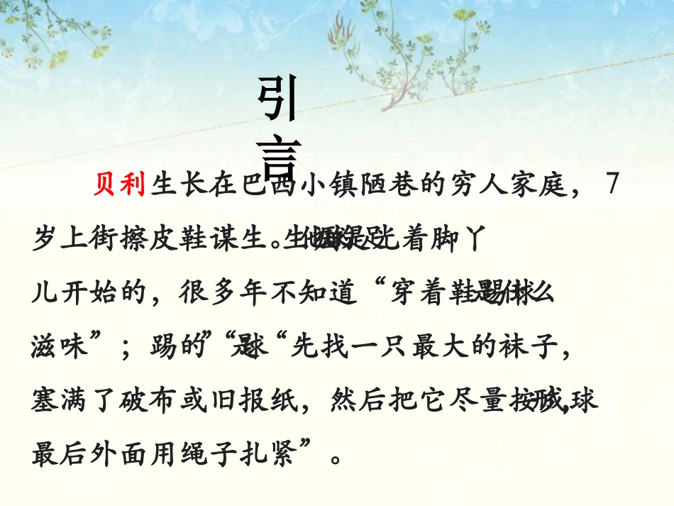 (2017年春季版)《第一千个球》课件2_第3页