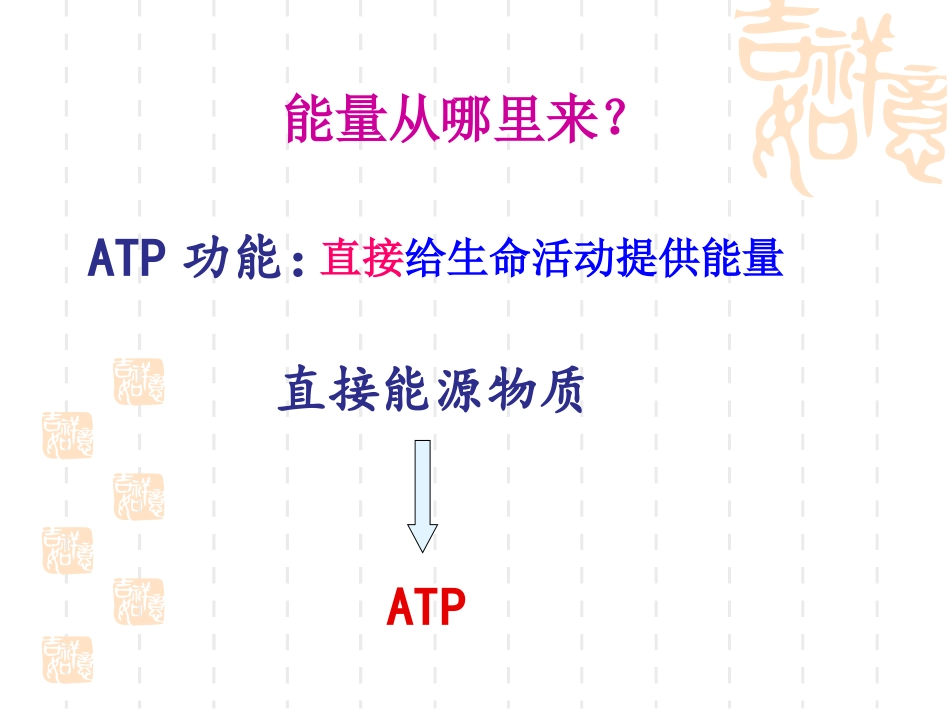 生命活动的能量“通货”——ATP_第2页