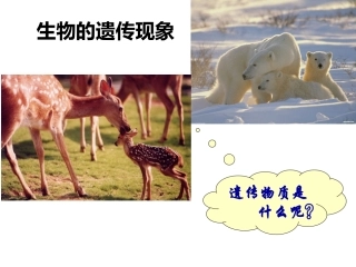 DNA是主要的遗传物质