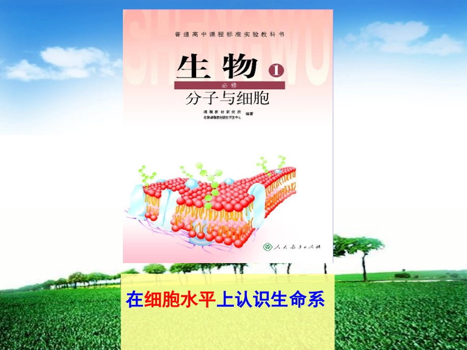 《从生物圈到细胞》课件1_第2页