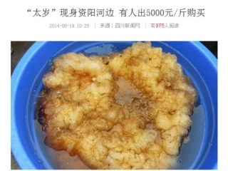 《从生物圈到细胞》课件1