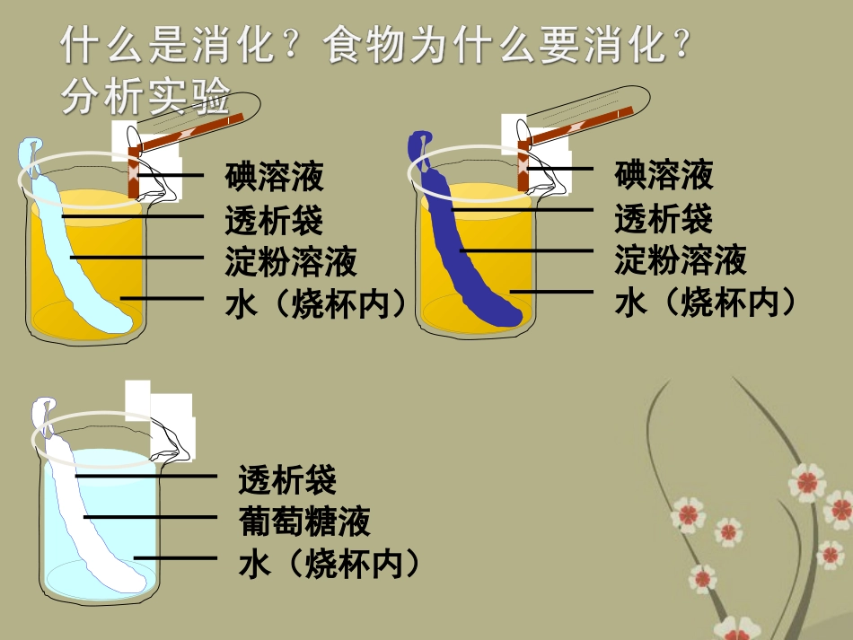 云南省大理喜洲镇第一中学七年级生物下册-8.2食物的消化和营养物质的吸收课件-(新版)北师大版_第2页