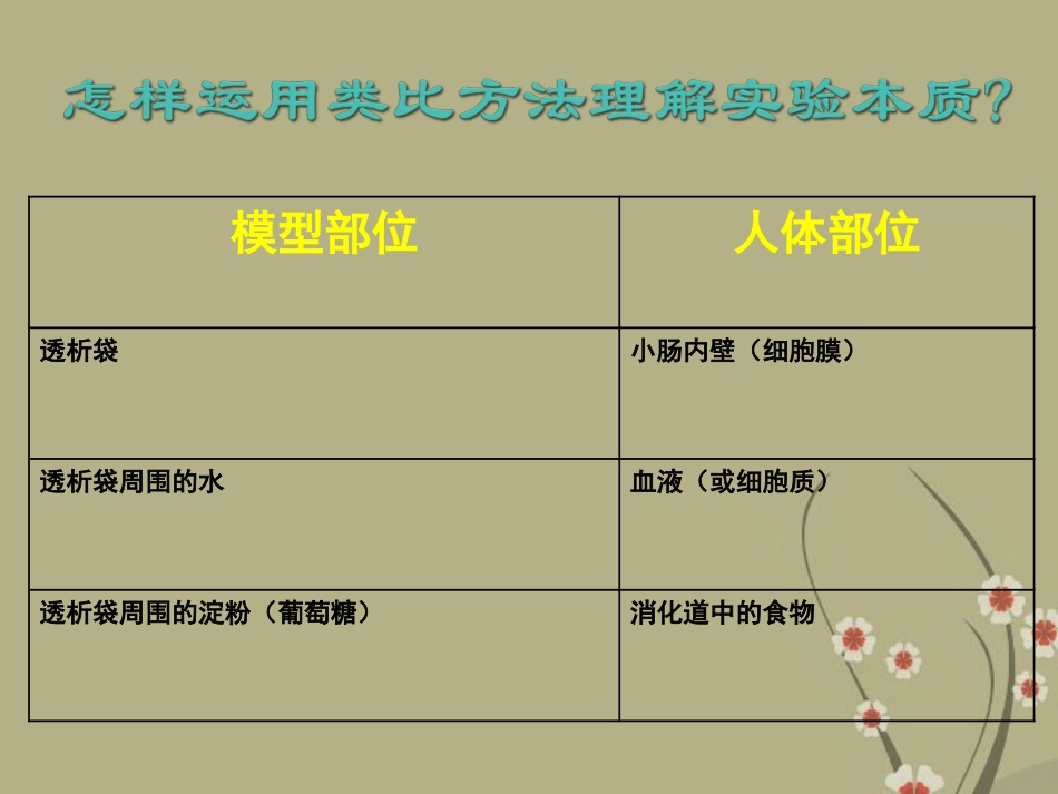 云南省大理喜洲镇第一中学七年级生物下册-8.2食物的消化和营养物质的吸收课件-(新版)北师大版_第3页