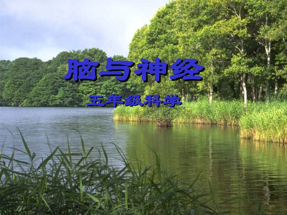 青岛版小学科学五年级下册《脑与神经》课件-_第1页