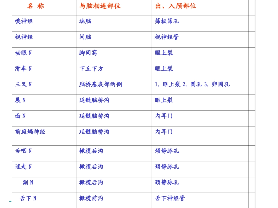 青岛版小学科学五年级下册《脑与神经》课件-_第2页