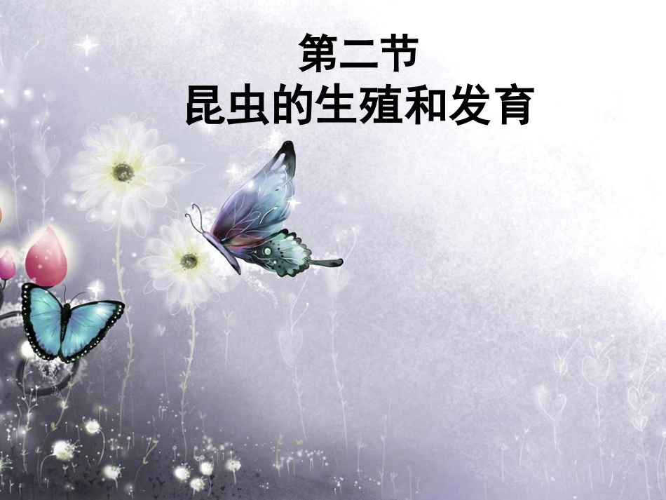 第二节昆虫的生殖和发育_第1页