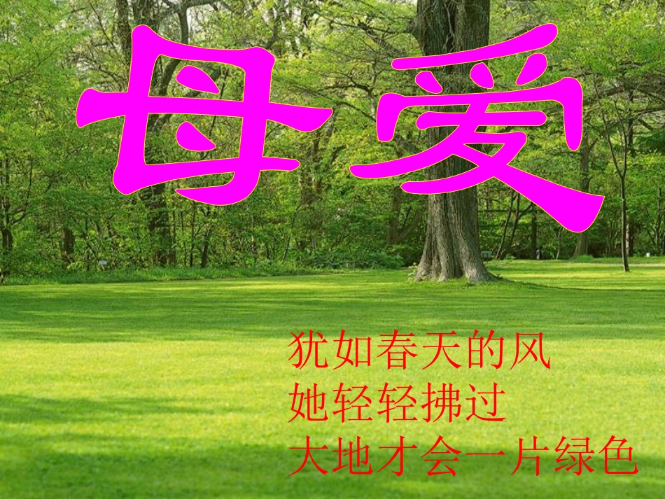 《综合性学习-献给母亲的歌》ppt课件_第1页