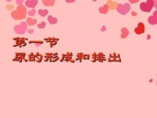 河南省郑州市侯寨二中七年级生物下册《4.5.1-尿的形成和排出》课件-新人教版