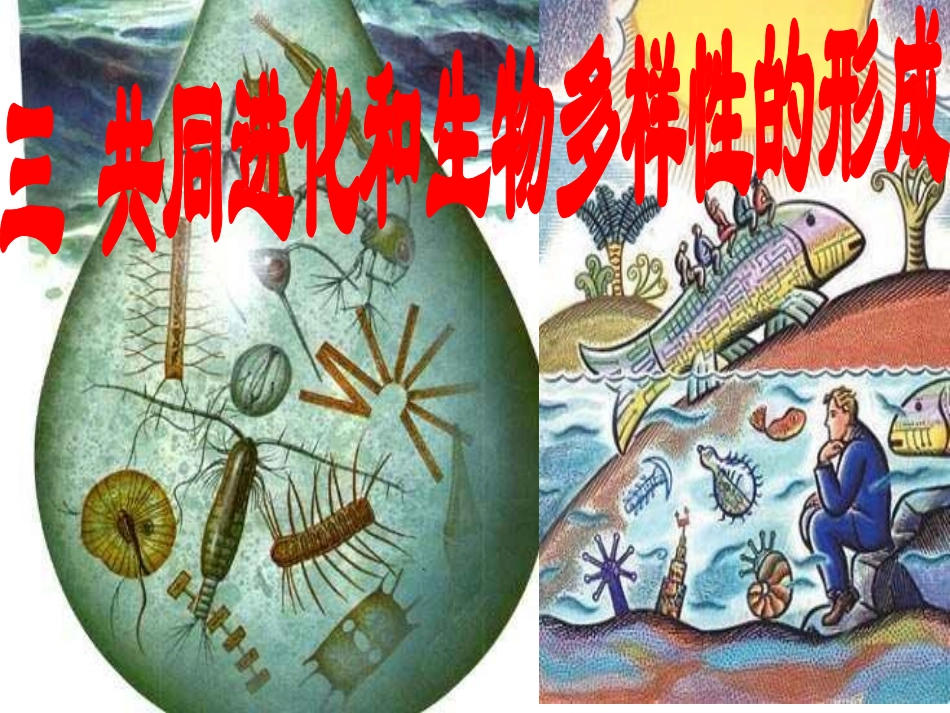 三-共同进化与生物多样性的形成_第1页