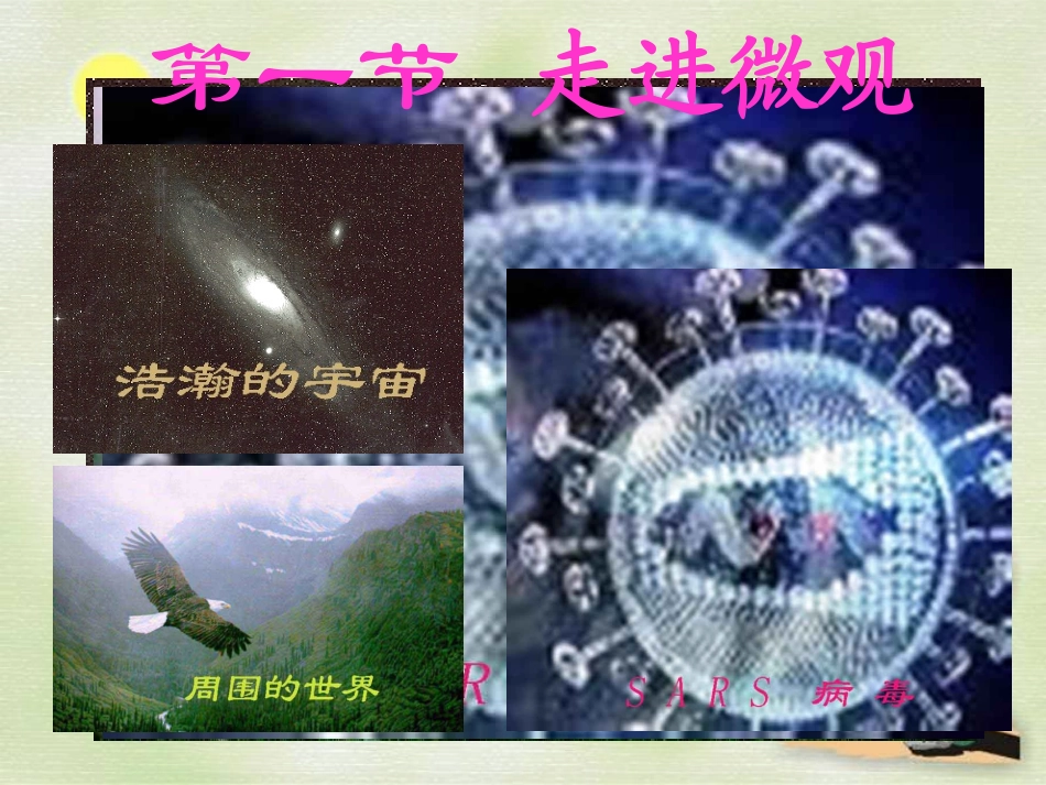 《第一节-走进微观》课件3-(2)_第1页