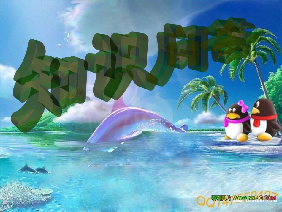 4.民族节日联欢会_第3页