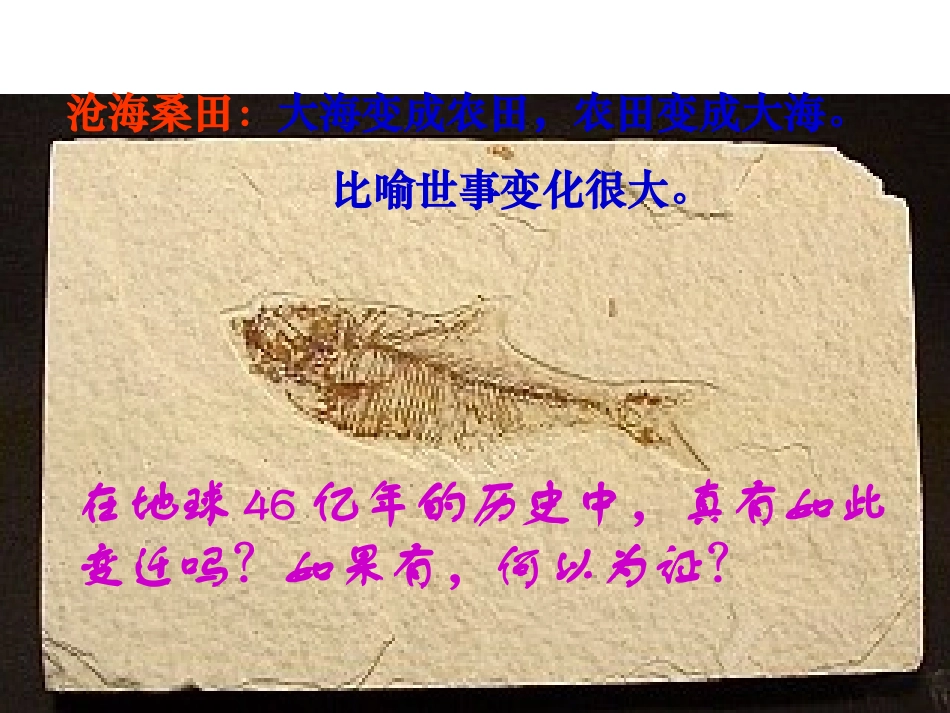 《化石吟》精品课件设计_第1页