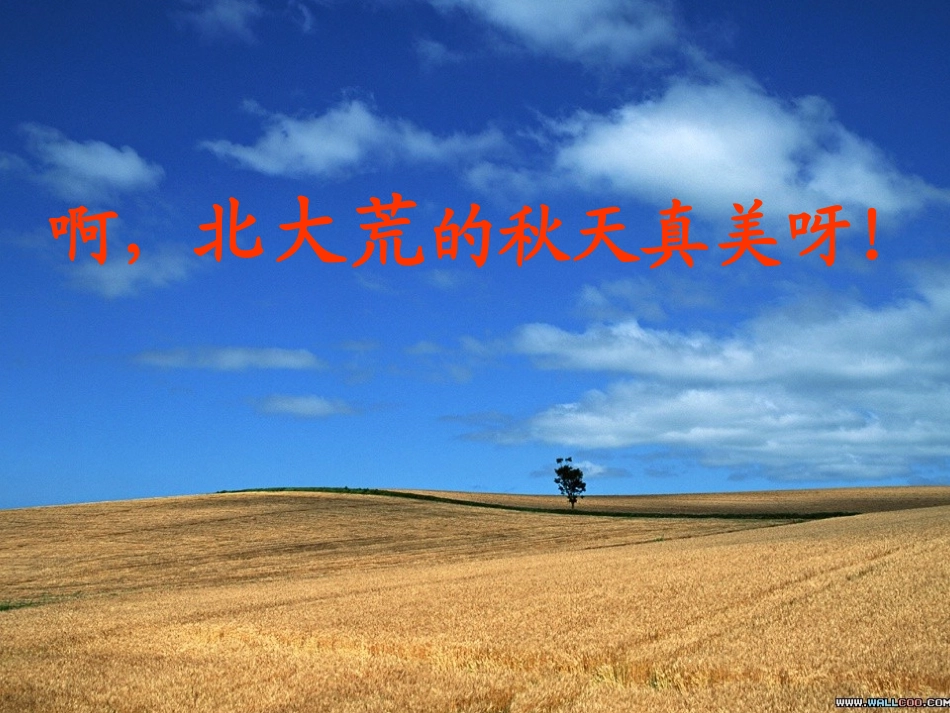 5北大荒的秋天_第2页