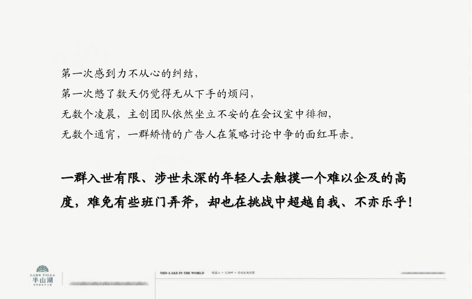 2011年06月沈阳湖园·半山湖营销推广方案_第3页