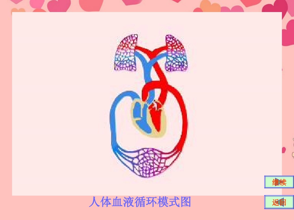 甘肃省会宁县八年级生物下册《血液循环》课件(2)-新人教版_第2页