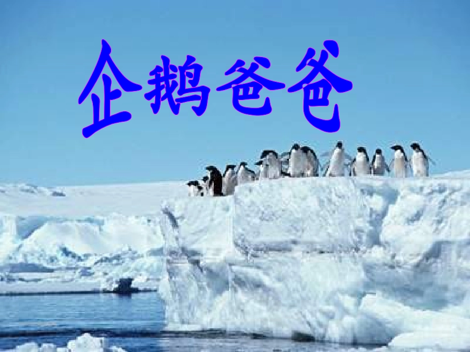 《企鹅爸爸》课件1_第1页