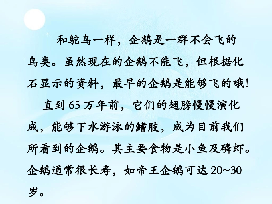 《企鹅爸爸》课件1_第3页