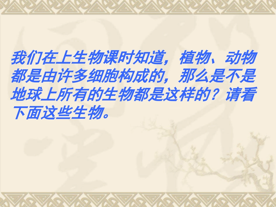 《单细胞生物》课件(人教版七上)_第2页