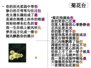 第四节-声情并茂--押韵与平仄-(2)