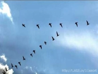 《秋天》ppt课件