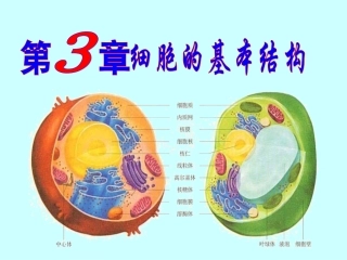 3.1-细胞膜——系统的边界-课件-韩霜