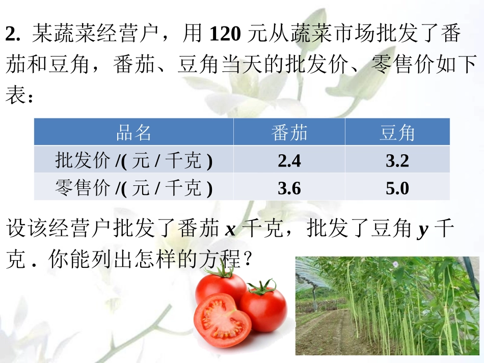 课外练习2-二元一次方程和它的解_第2页