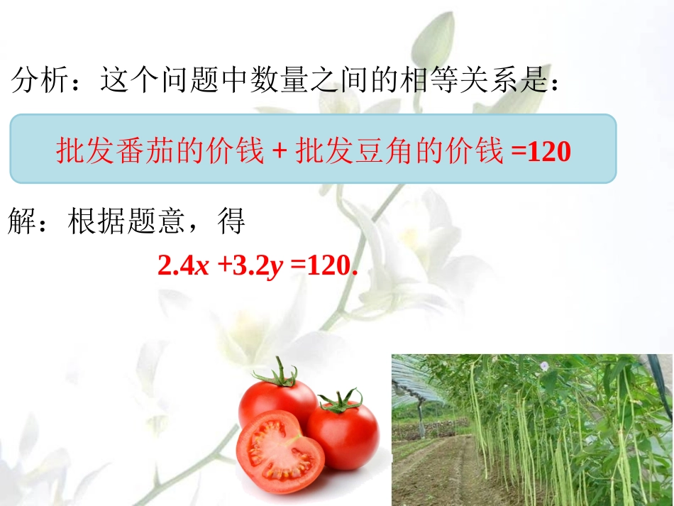 课外练习2-二元一次方程和它的解_第3页