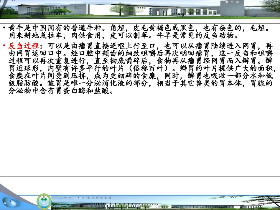 10在牛肚子里旅行_第3页