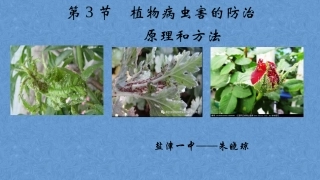 第3节-植物病虫害的防治原理和方法