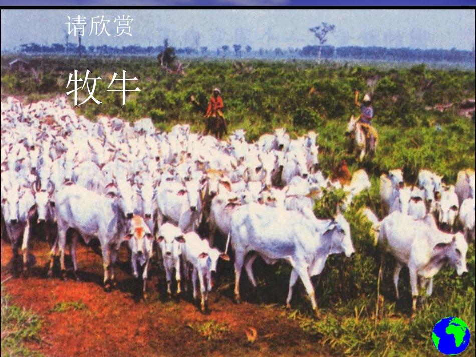 问题研究-为什么市区气温比郊区高_第2页