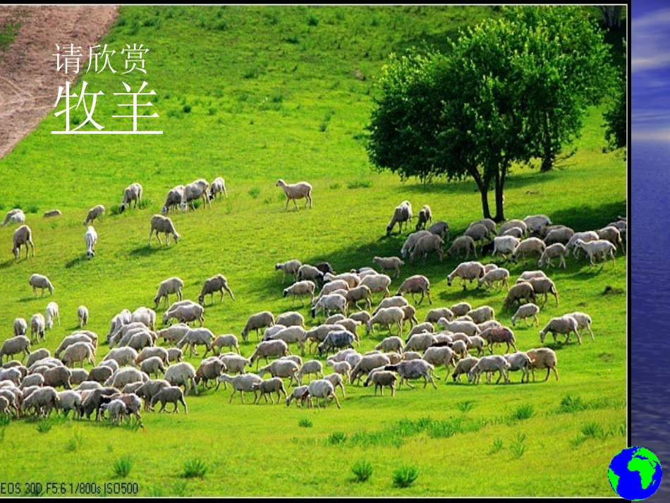 问题研究-为什么市区气温比郊区高_第3页