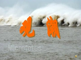 浙江潮【附《观潮》】