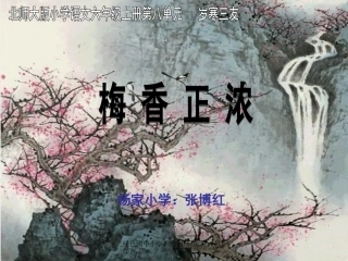 梅香正浓ppt张博红