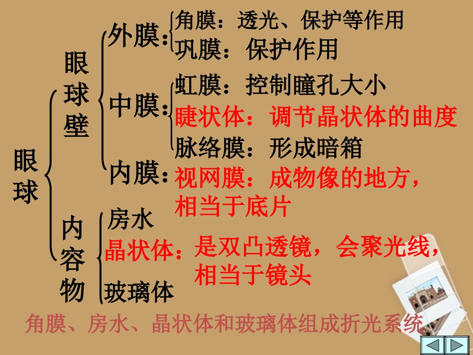 七年级科学下册-2.6透镜和视觉第三课时课件2-浙教版_第3页