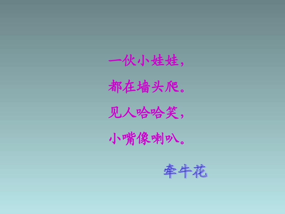 《关于牵牛花的评论》课件2-_第1页