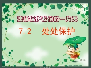七年级政治下册-第七单元-处处保护课件-粤教版