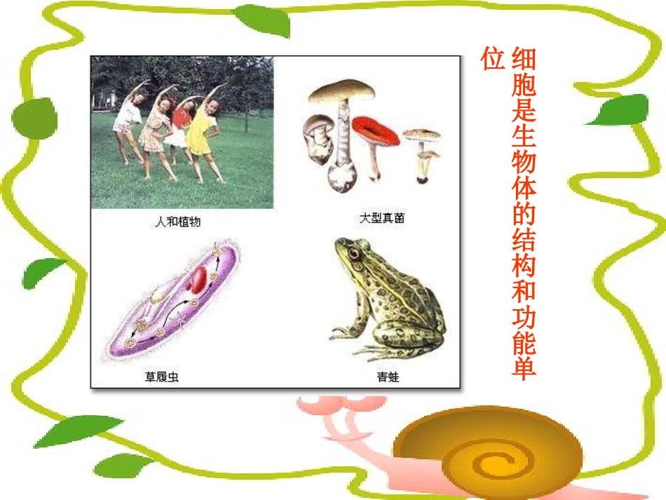 科学·技术·社会-人类探索微观世界不可缺少的工具——显微镜_第1页