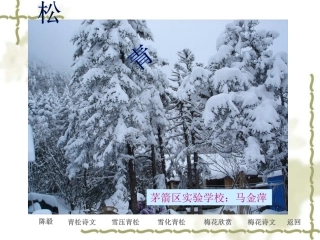 小学二年级上学期语文《青松》优秀PPT课件