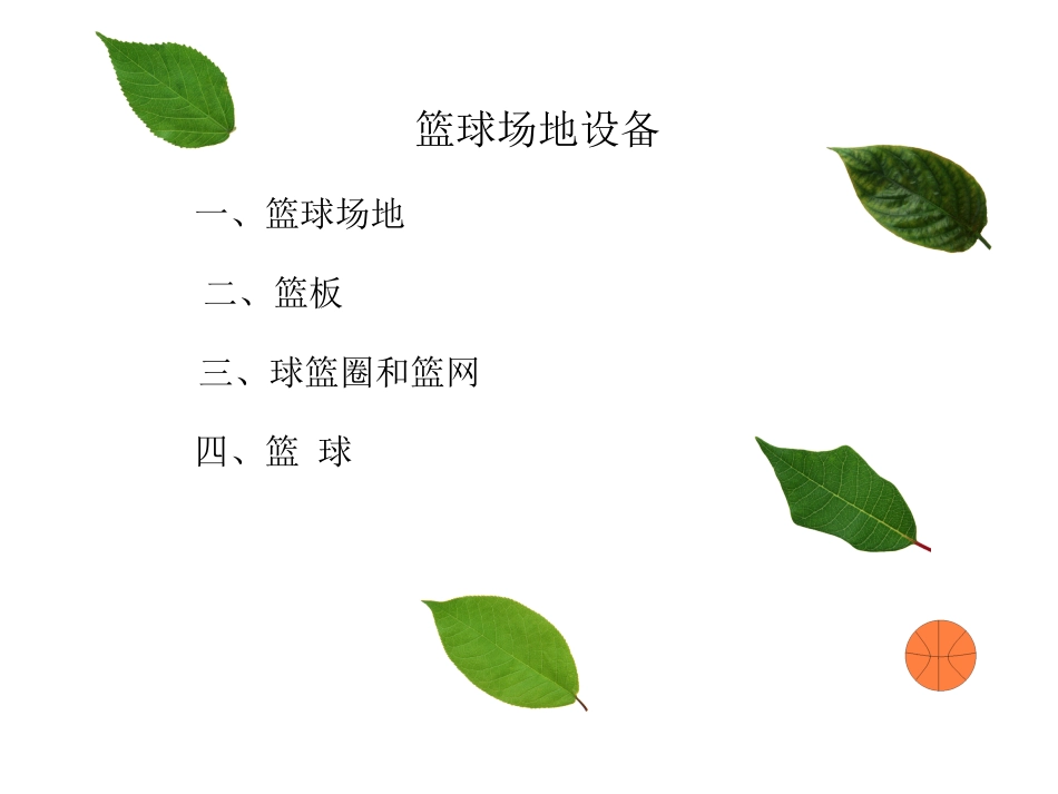 走进篮球世界PPT_第3页