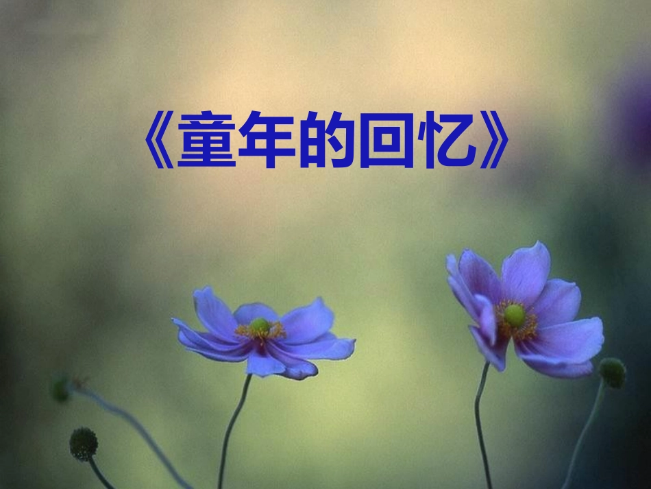 童年的回忆钢琴独奏曲_第1页