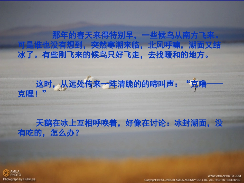 天鹅的故事2_第2页