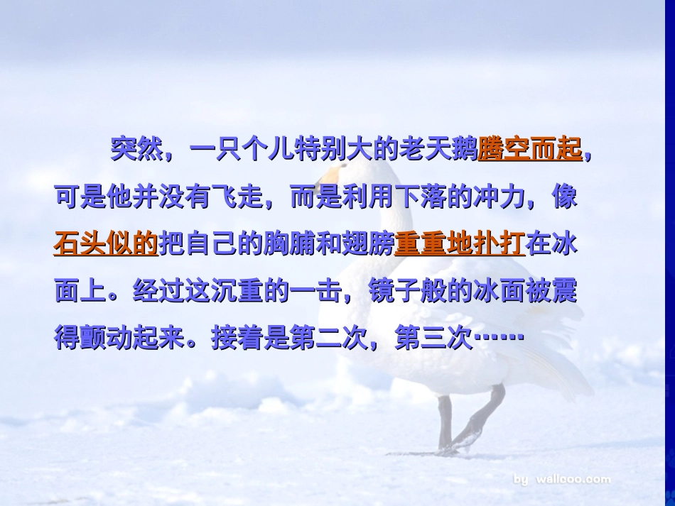 天鹅的故事2_第3页
