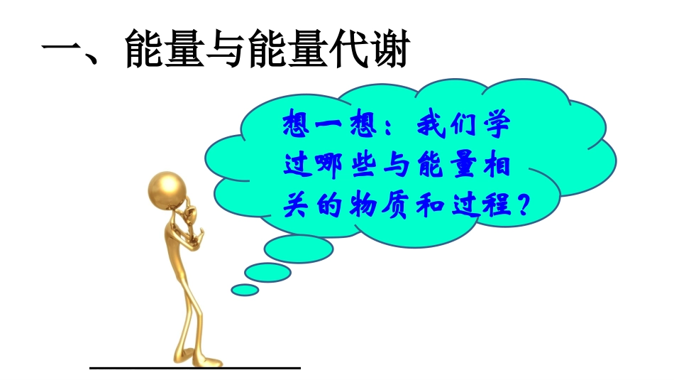 生态系统中的能量流动_第3页